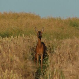 Meditación Guiada La Espiral de la Vida y de la Creación, un viaje de transformación 27 de julio 2019 en el MUSEO de NERJA Meditación Guiada La Espiral de la Vida y de la Creación, un viaje de transformación 27 de julio 2019 en el MUSEO de NERJA