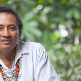 Abadio Green Stocel – Manibinigdiginya