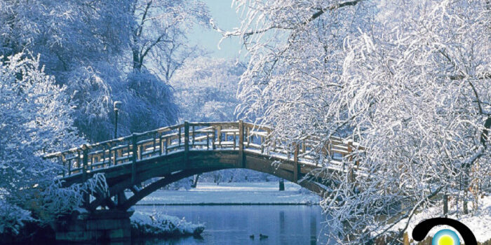 Tu Alma Elige Videos Tu Alma Elige Videos